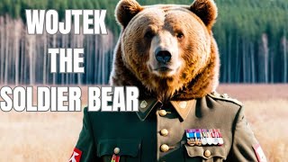 Story Of Wojtek The Soldier Bear [upl. by Leunammi]