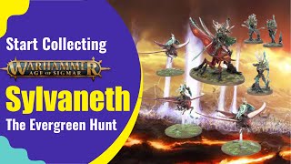 Start Collecting Warhammer Age of Sigmar Sylvaneth  The Evergreen Hunt [upl. by Alisa]