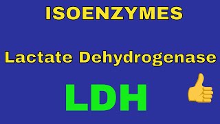 Lactate Dehydrogenase Enzyme  LDH  Isoenzymes  By Dorka Beri [upl. by Ver717]