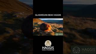 Glaswegian Beak Wild Haggis Animal [upl. by Fields]