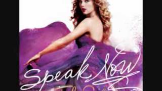 Taylor Swift quotMeanquot Lyrics [upl. by Aciretahs]