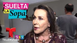 Felipe Nájera responde a comentarios homofóbicos de Laura Zapata  Suelta La Sopa  Entretenimiento [upl. by Cummins110]