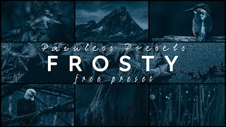 Frosty  Edit like FURSTY  Lightroom Mobile Premium Preset DNG  Free Download  Tutorial [upl. by Airdua]