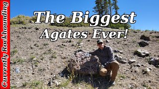 Giant Agates in Utah  Huge Dendritic Agate on Brian Head Peak [upl. by Nylleoj]