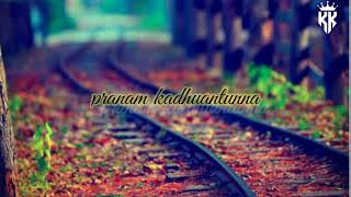 nanu vadhilina thanatho song lyrics  Karthik edits [upl. by Jade]