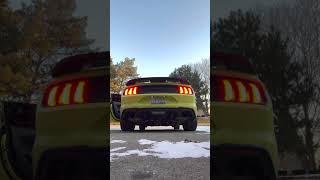 FBO E85 MUSTANG GT SUPER COLD START 10°F OUTSIDE [upl. by Daph]