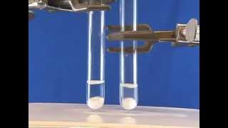 Synthesis of CdS Nanoparticles [upl. by Cole959]