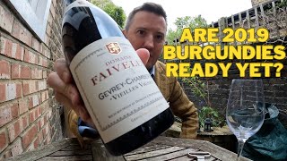 Domaine Faiveley Gevrey Chambertin 2019 [upl. by Auqenat463]