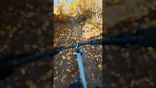 MTB ROUTE DE DELLENcanyonbikes newmtb djiosmoactioncamera [upl. by Cristiona119]