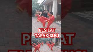 PESILAT TAPAK SUCI pesilatindonesia pesilatindo tapaksuci [upl. by Bodkin]