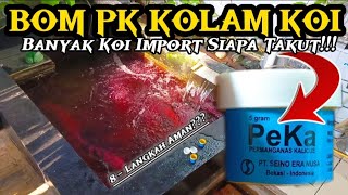 🔴 BOM PK KOLAM IKAN KOI ⁉️8 LANGKAH AMAN [upl. by Nove277]