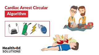 ACLS Cardiac Arrest Circular Algorithm [upl. by Hamer69]