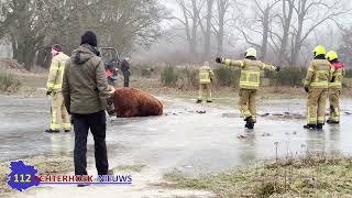 in natuurpark de Zumpe in Doetinchem [upl. by Buckler]