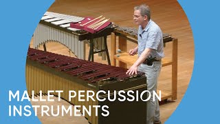 Guide to the Orchestra Mallet Percussion Instruments  Minnesota Orchestra [upl. by Garate702]