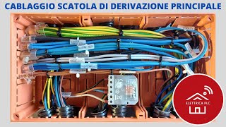 19 CABLAGGIO SCATOLA DI DERIVAZIONE PRINCIPALE QUADRO ELETTRICO 6 kw quotLIV 1quot [upl. by Otit]