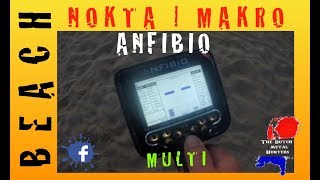 NOKTA MAKRO ANFIBIO METAL DETECTOR METAALDETECTOR  SHORT BEACH HUNT  THE DUTCH METAL HUNTER [upl. by Eedak]