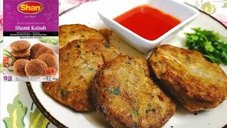 Shan Shami Kabab Recipe  Shami Kabab Recipe  Shami Kabab Shan Masala  Beef Shami Kabab Recipe [upl. by Sylvia889]