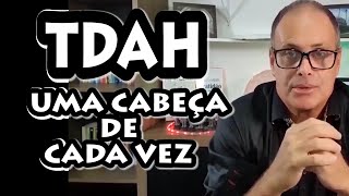 TDAH UMA CABEÇA DE CADA VEZ PART 14 TERAPIA DOS MONSTROS [upl. by Lody314]