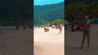 🏖️🌴 Sunny at the Beach São Sebastião São Paulo  Brazil shorts beachbrazil [upl. by Nadbus465]