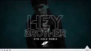 Avicii  Hey Brother Syn Cole Remix Radio Edit [upl. by Hume]