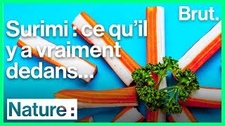 Comment est fabriqué le surimi [upl. by Yanal510]