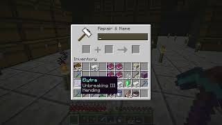 Elytra enchanting guide how to enchant your elytra  Minecraft 121 [upl. by Orpheus]