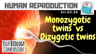 XII0335 – Monozygotic twins vs Dizygotic twins  NEET  AIIMS  ExamForU [upl. by Shornick]