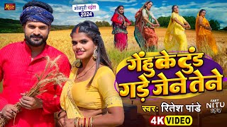 ViralVideo  चईता  गेंहू के टुंड गड़े जेने तेने  Ritesh Pandey  Gade Jene Tene  Bhojpuri Song [upl. by Nerag]