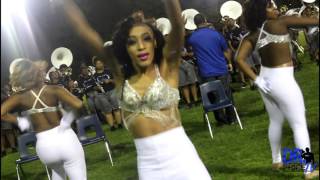 McKinley High School quotPantherettesquot vs CPAA quotJazzy Jewelsquot  Wave Fest 2017 [upl. by Alyehs]