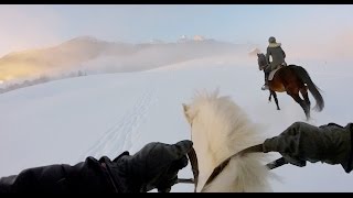 Snow horse powder riding in Leysin Switzerland [upl. by Grati238]