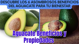 Aguacate Beneficios y PropiedadesDescubre los Asombrosos Beneficios del Aguacate para tu Bienestar [upl. by Sevik]