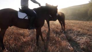 A real dream Diacceronis riding stables [upl. by Natelson]