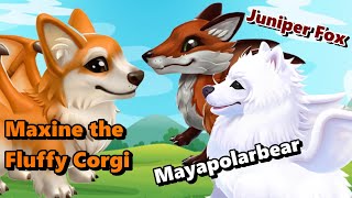 NEW Furry Dragon Names amp Images REVEALED Mayapolarbear Juniper Fox amp Maxine the Corgi  DML 1745 [upl. by Nrublim743]