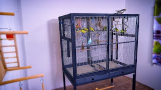 EASIEST DIY Bird Cage  Easy Project Homemade [upl. by Ettezil]