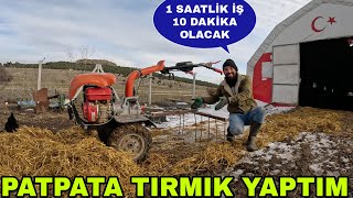 MUCÄ°TLÄ°K YAPALIM DEDÄ°KPATPATA TIRMIK YAPTIMOLDU MU  FARELERE DOÄUM GÃœNÃœ PASTASI [upl. by Refotsirk213]