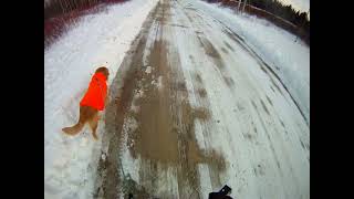 March 25th 7º Flynn and I go into Prentiss Deer tracks in middle of road Flynn succeeds at task [upl. by Eenat]