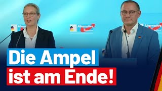 Presseerklärung von Alice Weidel und Tino Chrupalla [upl. by Noed]