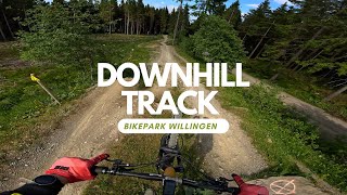 Downhill Track Schwarz alle Sprünge Bikepark Willigen RAW full run [upl. by Virgel]