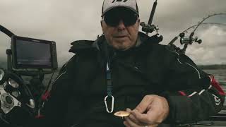 Story of Jackpot 2 Speedmaster bait holder with English subtitles [upl. by Touber]