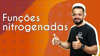 Funções nitrogenadas  Brasil Escola [upl. by Adnawahs]