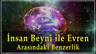 İnsan Beyni ile Evren Arasındaki Benzerlik [upl. by Aldrich]