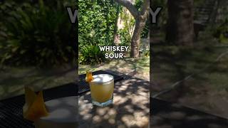 quotWHISKEY SOURquot 🥃🍋 ¿El mejor cocktail sour  Tutorial Bartender argentina [upl. by Sullecram615]