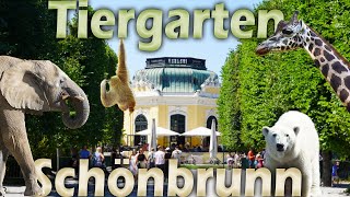 Der Tiergarten Schönbrunn  Barocke Architektur trifft Zoo [upl. by Bohlen315]