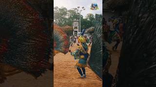 2024 කතරගම පෙරහැරේ මොණර නැටුම්  Peacock Dance  Katharagama Perahera  katharagama srilanka [upl. by Avram]