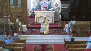 Holy Liturgy  Sunday Sep 01 2024 [upl. by Ewolram]