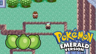 The only way to get Lum berries in Pokemon Emerald [upl. by Amitaf]