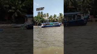 Dolphin view point  GoaMangrove forest boat ride goa dolphin boatridesea [upl. by Rebhun]