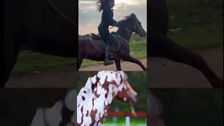 Horse Riding  Girl Horse Race  beautiful girl horse Racing 🐎 [upl. by Osana]