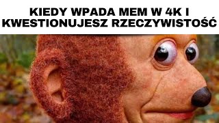 Najlepsze Memy Tygodnia 🤣 9 Polskie memy 2024  Memy po Polsku [upl. by Ecidna615]