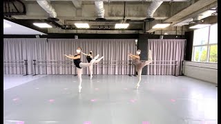 Barreworks Dance Exposure Series 4  Le Corsaire Variation with Ms Rosa Park [upl. by Nazar]